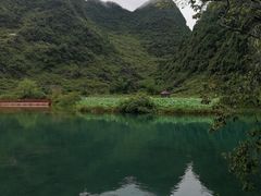 -靖西鹅泉风景区