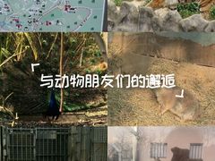 -青岛动物园