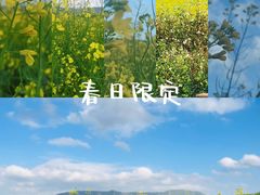 -光明小镇欢乐田园