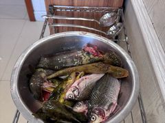 -老哥铁锅炖鱼(嫩江北街店)