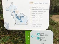 -西湖风景区-江洋畈生态公园