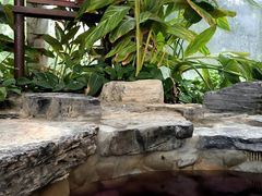 -中家鑫园温泉酒店鑫悦汤泉