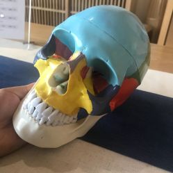 -松和日式美容整骨