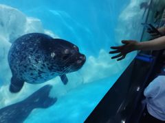 -多彩贵州城极地海洋世界