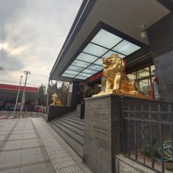 -中国黄金(北京旗舰店)