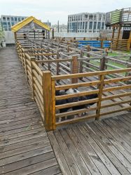 -小蜜蜂农场(凯德七宝购物广场店)