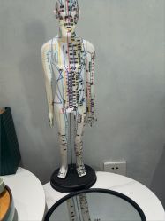 -木棉问题肌·肩颈·纹绣