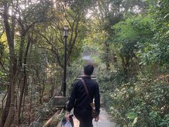 -小南山公园