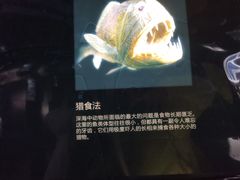 -同济大学四平路校区深海探索馆