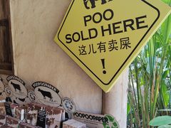 -大象粑粑造纸公园