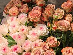 -上海交通大学(闵行校区)