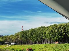 -隐炉和牛烧肉店(群力店)