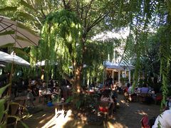 -Fern Forest Cafe