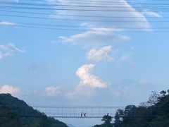 -龙岩森林水乡景区