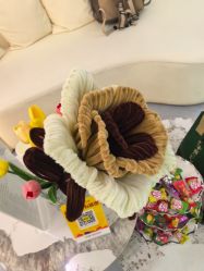 -Dr·Jane皮肤管理中心