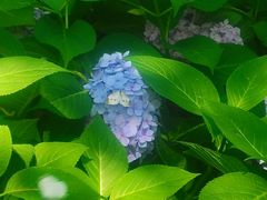 -陶然亭公园