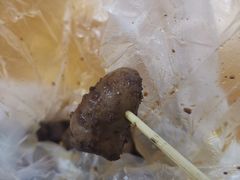 -王记西鎮电烤肉(汶上路店)