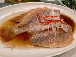 -新锦江大酒店·宴会厅·婚宴
