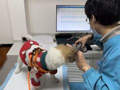 -派联宠物医院·24h·CT·异宠