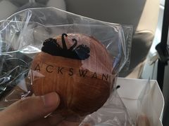 -BLACKSWAN黑天鹅(环球店)