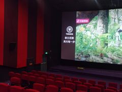 -保利国际影城杭州中南店