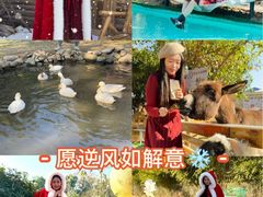 -HERRE·FARM 赫尔露营农场·团建聚会包场