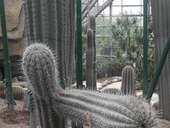 -南山植物园