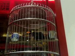 -红红烤鸭店(西单店)