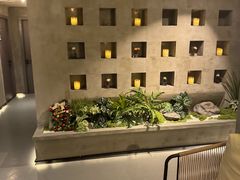 -施奈儿.洗头頭療.按摩SPA.采耳(上梅林店)