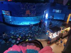 -烟台海昌鲸鲨海洋公园