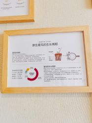 -睫仙の皮肤管理工作室