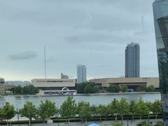 -羲和雅苑•北京烤鸭(乐园道万象城店)