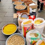 过年了来逛逛古城，感受一下年味儿越来越浓了