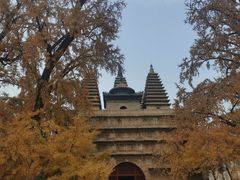 -北京石刻艺术博物馆(五塔寺)