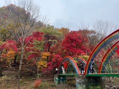 -关门山森林公园