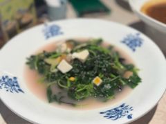 上汤苋菜-维园悦谱·海派家常菜(乌鲁木齐南路店)