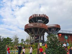 -芒洲湿地公园