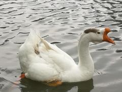 -蓝地时尚庄园(北京清河营地铁站店)