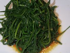果仁爱沙葱-九十九顶毡房(阜石路店)
