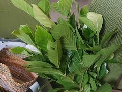 -海底捞火锅(东方时代广场店)
