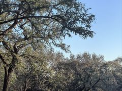 -北京西山国家森林公园