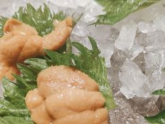 -月龍吟(朝龙汇店)