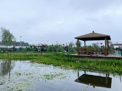 -同銮特种养殖场·龙虾垂钓