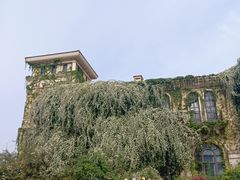 -府河摄影公园