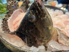 龙趸鱼-辉哥火锅(虹桥路店)