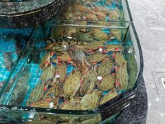 -渔码头食府(蓬莱阁店)