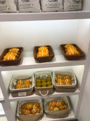 -MINI MARS KIDS CLUB亲子家庭中心(长宁天山店)