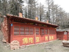 -芦芽山旅游度假区