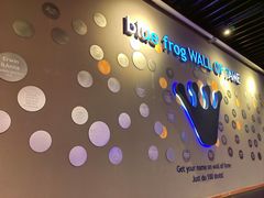 -blue frog蓝蛙(长泰广场店)