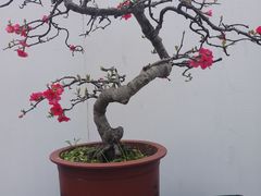 -成都市文化公园